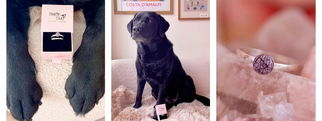 Sieraad met Hondenvacht van Labrador Noor