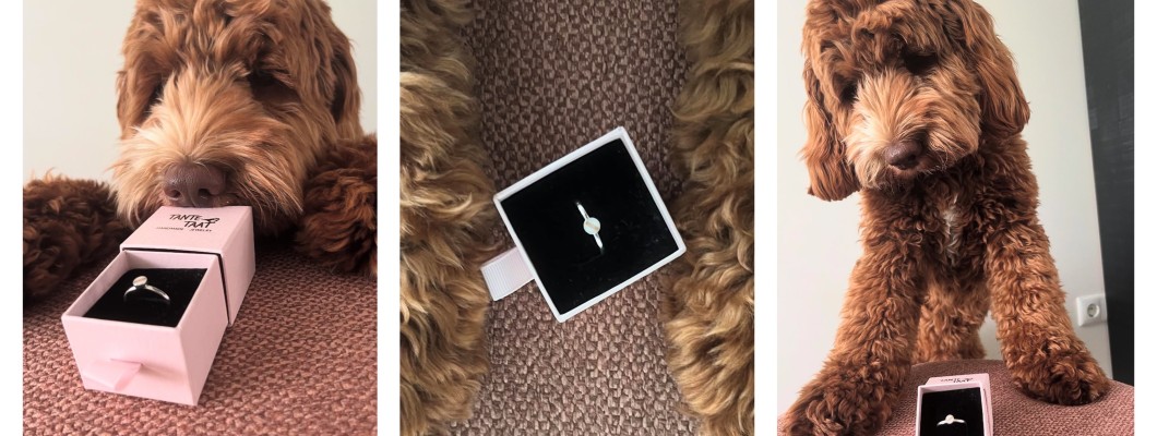 Sieraad met Hondenvacht van Labradoodle Bobbie
