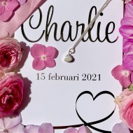 WALL OF FAME - Charlie