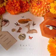 WALL OF FAME - Baby Xavi - Sieraad: Ring "Maya" plus aanschuifring bolletjes