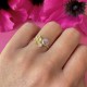 . Giulia, (DNA steen van 5mm) (prijs op aanvraag) deze ring is helemaal naar smaak samen te stellen :)