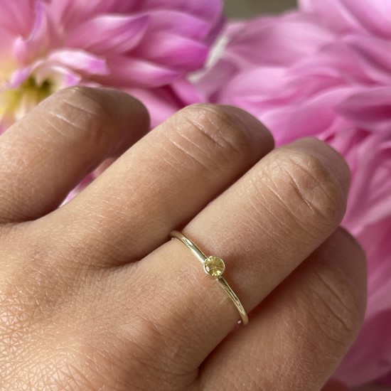 GEBOORTE RING - September - Saffier (ivm stijgende goudkoers zijn alle prijzen voor gouden sieraden tijdelijk op aanvraag)