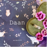 WALL OF FAME - Baby Daan - Sieraad: ring "nola" plus twee witgouden ringen met geboortesteen