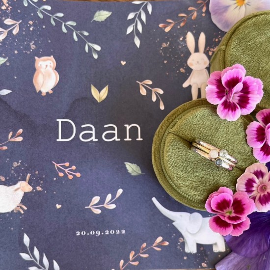 WALL OF FAME - Baby Daan - Sieraad: ring "nola" plus twee witgouden ringen met geboortesteen