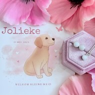 WALL OF FAME - Jolieke