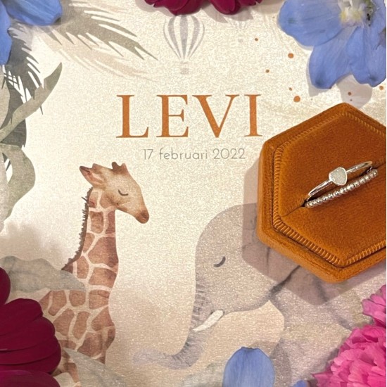 WALL OF FAME - Baby Levi - Sieraad: ring "Mae" plus aanschuifring bolletjes