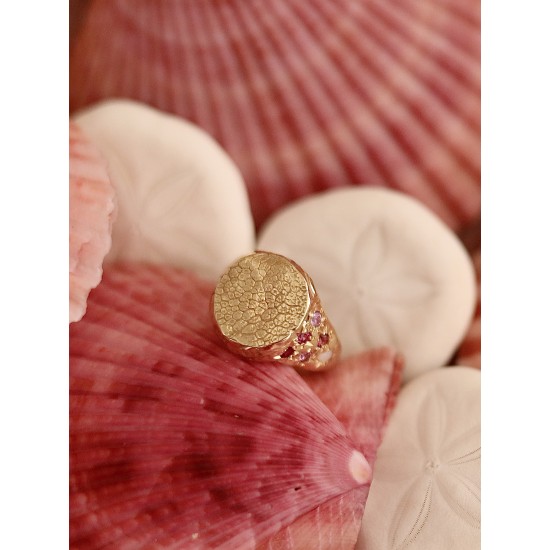Ring met Vingerafdruk, Neusafdruk of Pootafdruk (zegelring prijs op aanvraag)