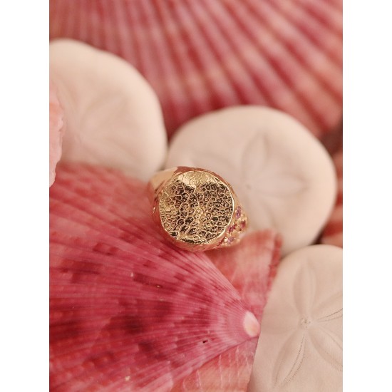 Ring met Vingerafdruk, Neusafdruk of Pootafdruk (zegelring prijs op aanvraag)