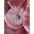 Hanger met Vingerafdruk, Neusafdruk of Pootafdruk (Ovaal Medium 10x8mm)