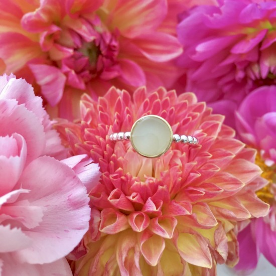 . Faye (prijs op aanvraag)